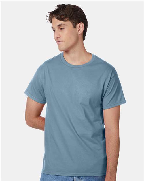 Hanes Unisex Authentic T-Shirt